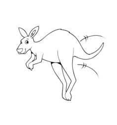 Kangaroo Kids Kids Coloring Pages Pdf, Free Vectors File